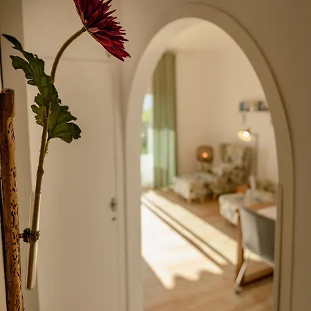 Casa Simon Дом отдыха Эль-Пасо